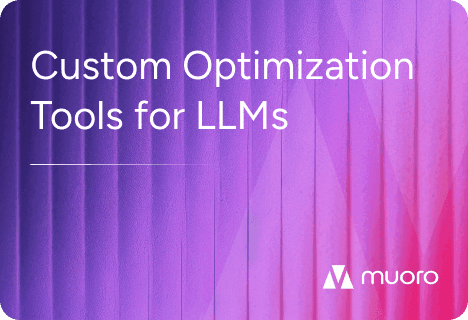 Custom Optimization Tools for LLMs: What Enterprises Needs